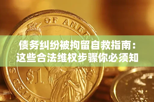 济南债务纠纷被拘留自救指南：这些合法维权步骤你必须知道！