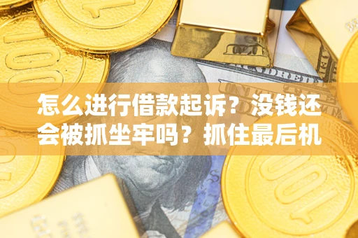 济南怎么进行借款起诉？没钱还会被抓坐牢吗？抓住最后机会！