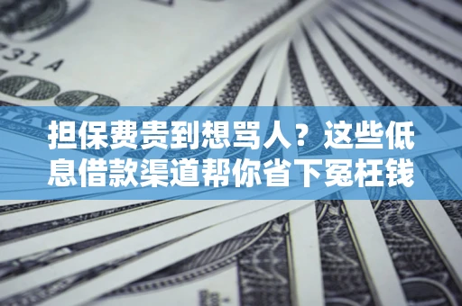 济南担保费贵到想骂人？这些低息借款渠道帮你省下冤枉钱