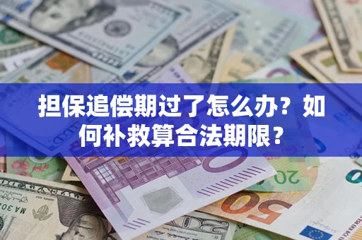 济南担保追偿期过了怎么办？如何补救算合法期限？
